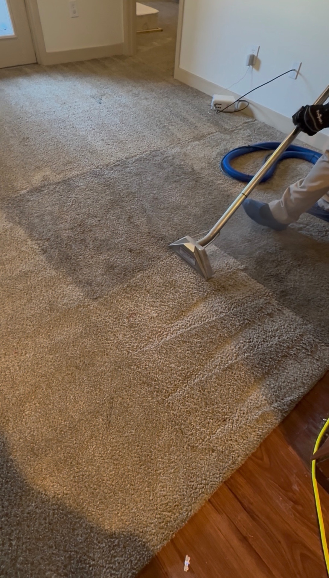 Carpet pet stain before and after cleaning